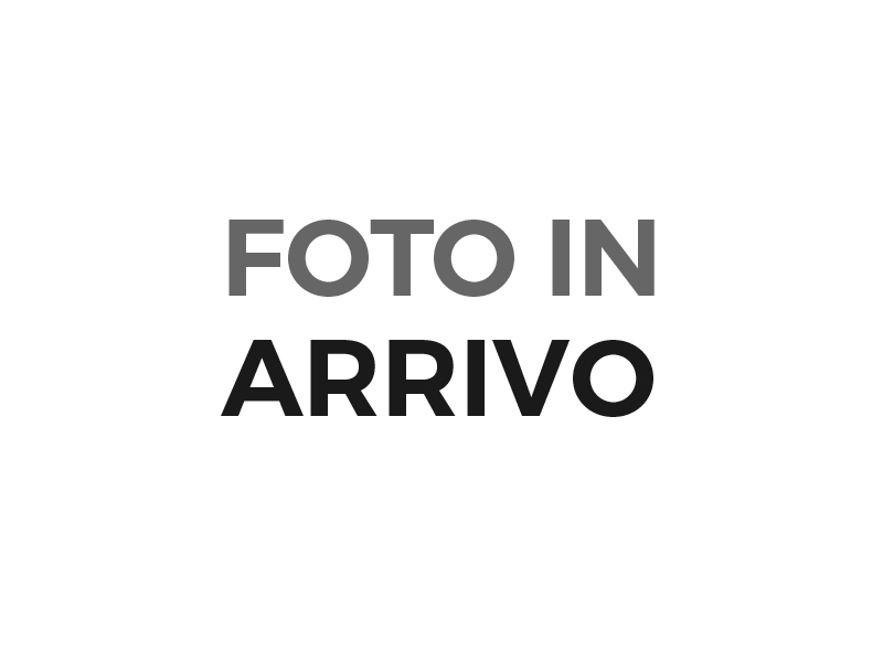 BMW Serie 5    (F10/11)